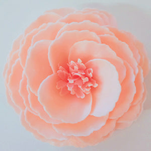 Petal Soap Be Held