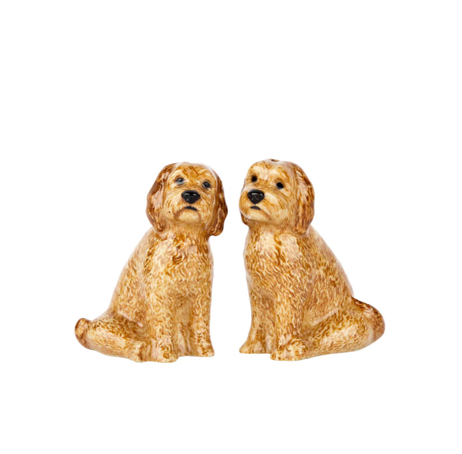 Salt & Pepper Cockapoo
