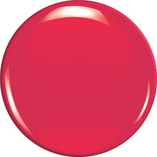 Load image into Gallery viewer, America
